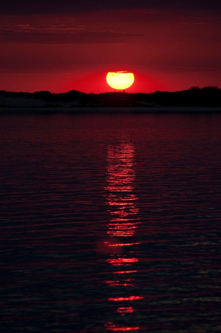 red sunset vert DSC_0297